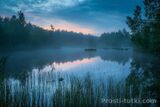 Миниатюра Мужчина Алигатор Нижегородский Фотография 